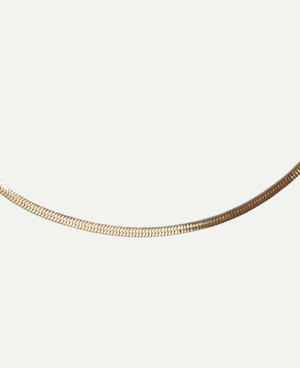 Gigi 14k Solid Gold Herringbone Chain Necklace