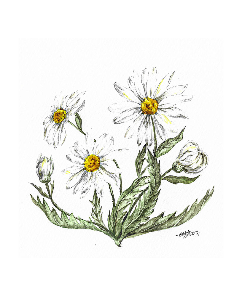 April - Daisy Birth Flower Pendant Necklace