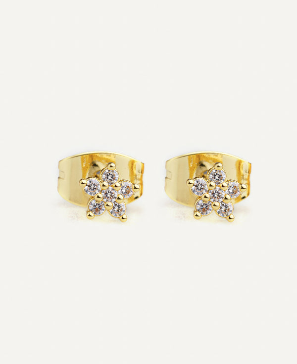 Dainty Lea Star CZ Earring Stud in Gold vermeil s925 silver front angle - sachelle collective